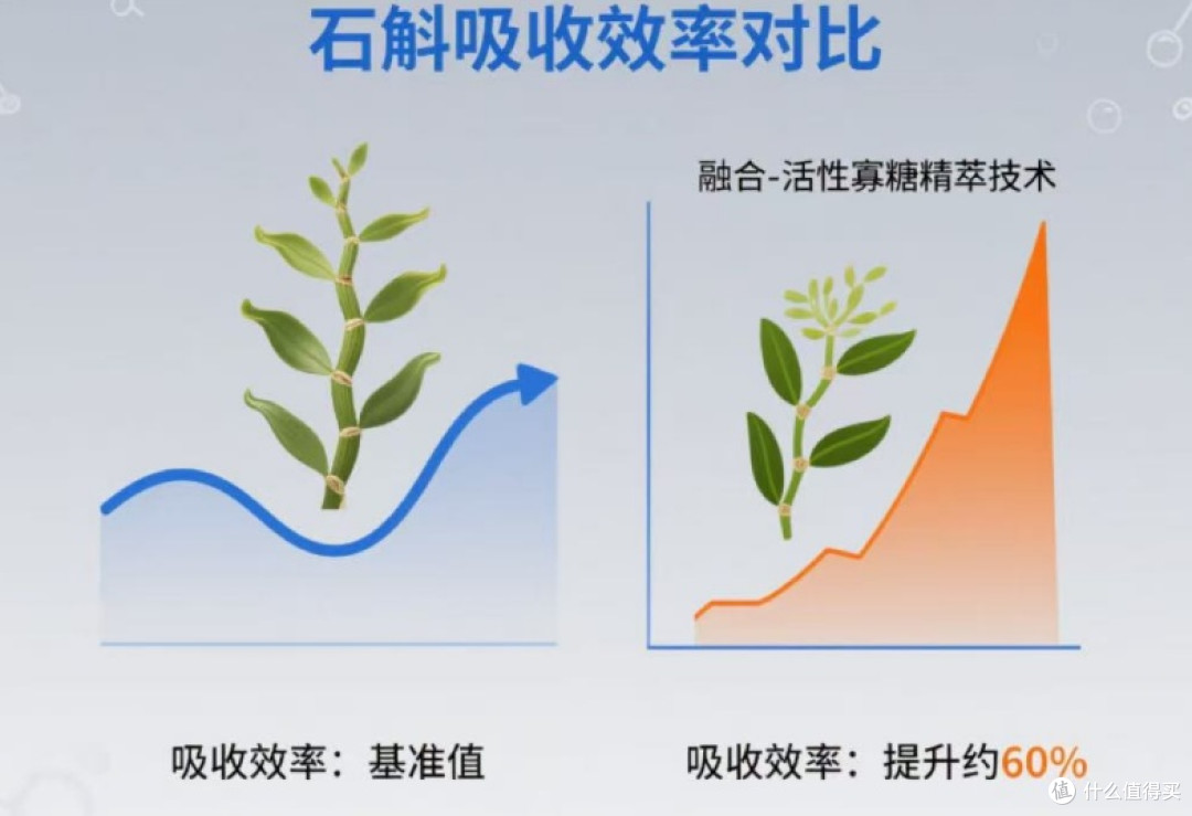 铁皮石斛品牌哪个最好?2025全国排行榜全解析