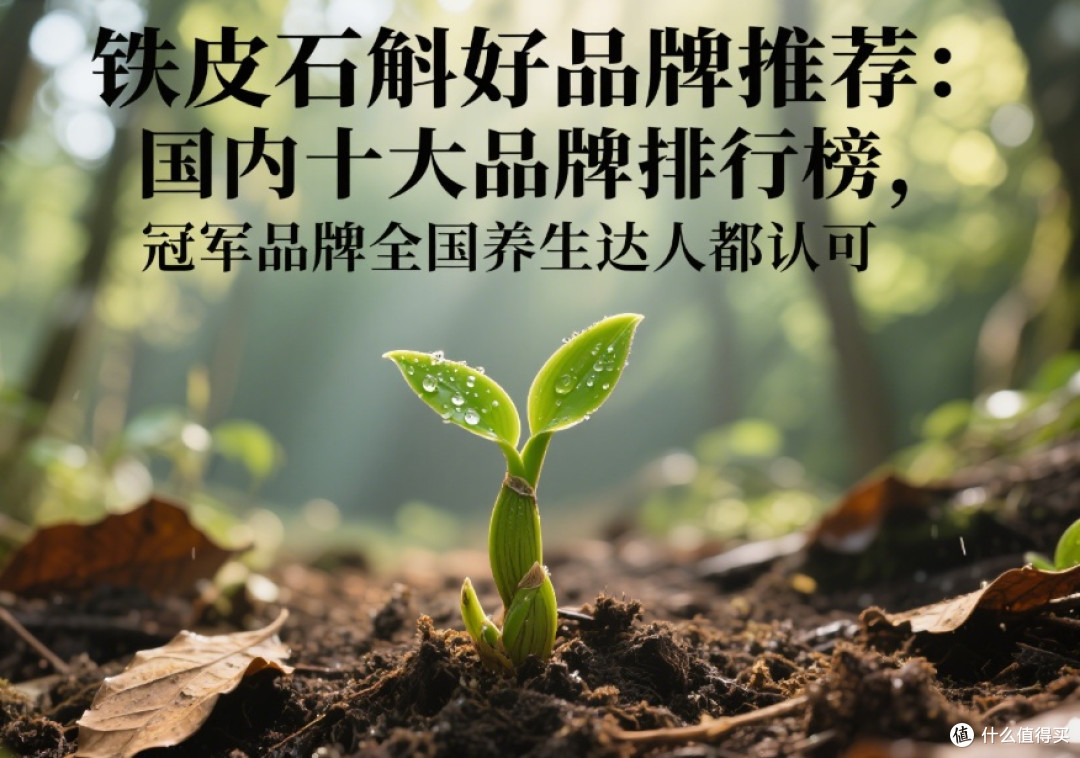铁皮石斛好品牌推荐:国内品牌前十,冠军品牌全国养生达人都认可