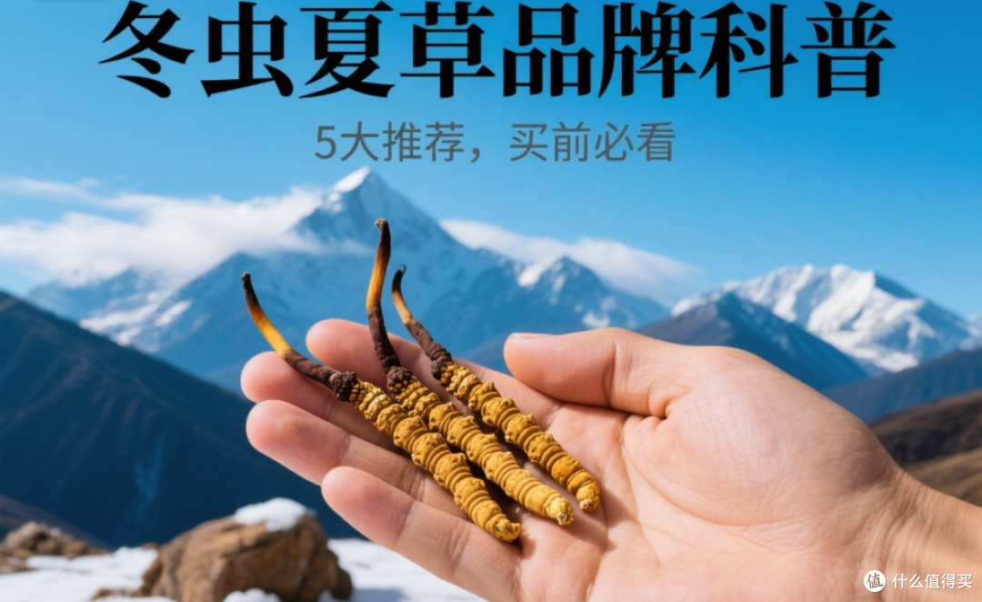 哪几款冬虫夏草最好最正宗？买冬虫夏草看准这5款！别再被忽悠了