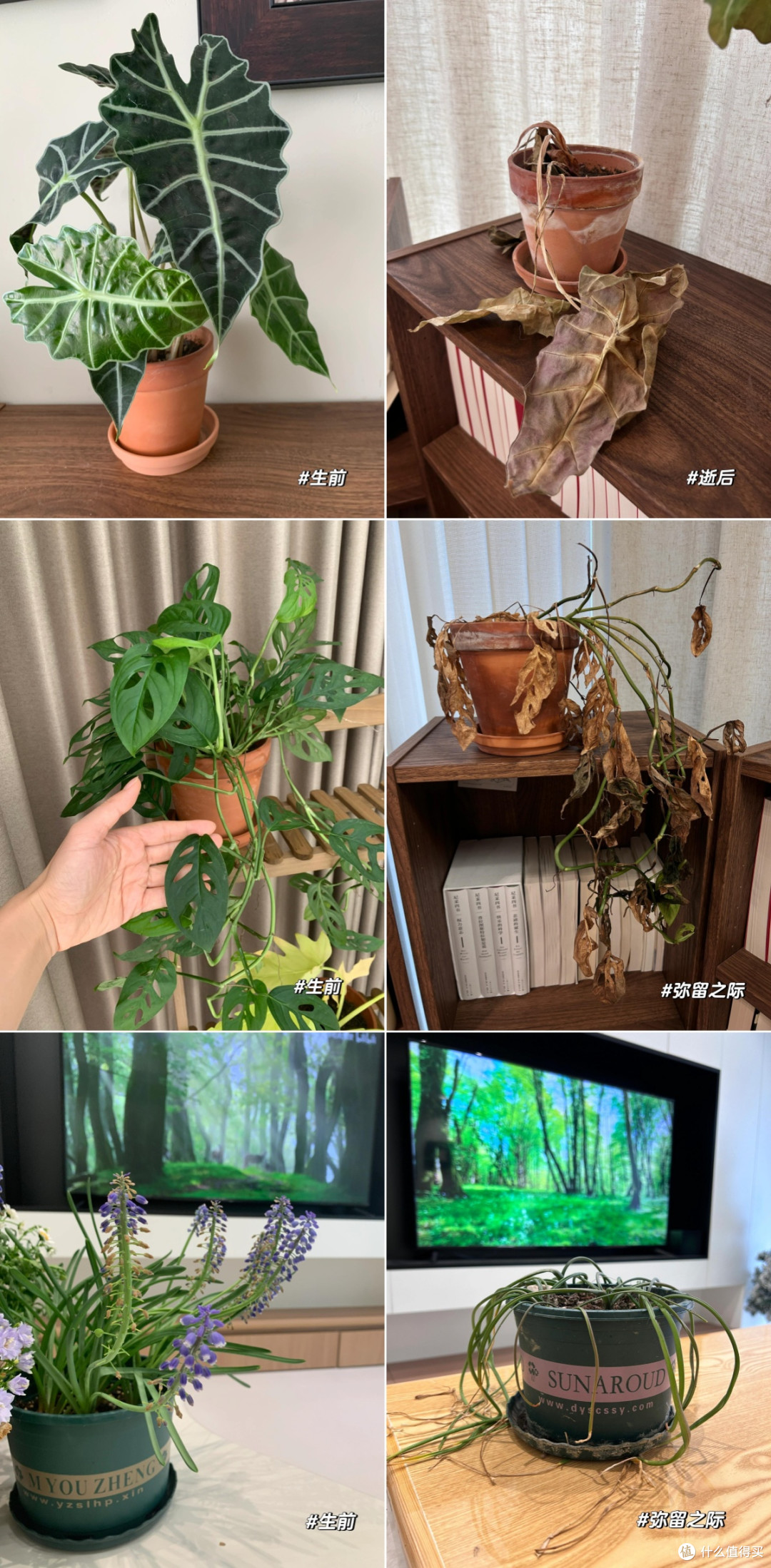 被评为“最没用”的8样东西,看完网友们的吐槽,又省下一大笔钱