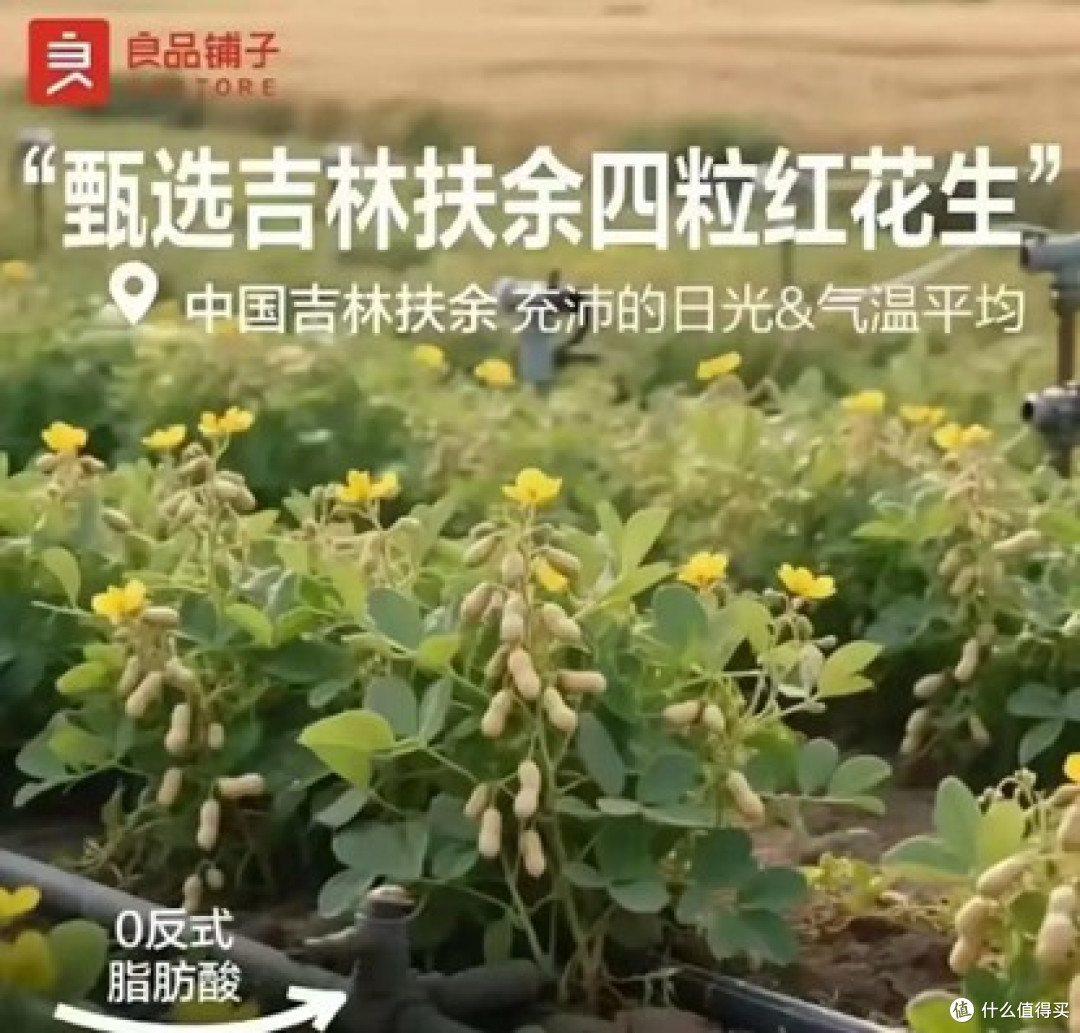 良品铺子就“花生上树”广告致歉 半年报显示其业绩继续承压