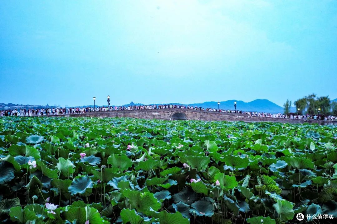 在这个让人又爱又恨的季节，还能做点什么事？