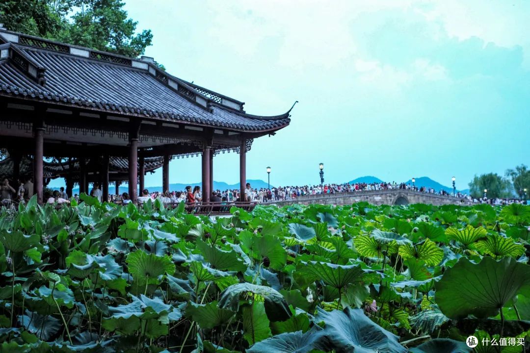 在这个让人又爱又恨的季节，还能做点什么事？