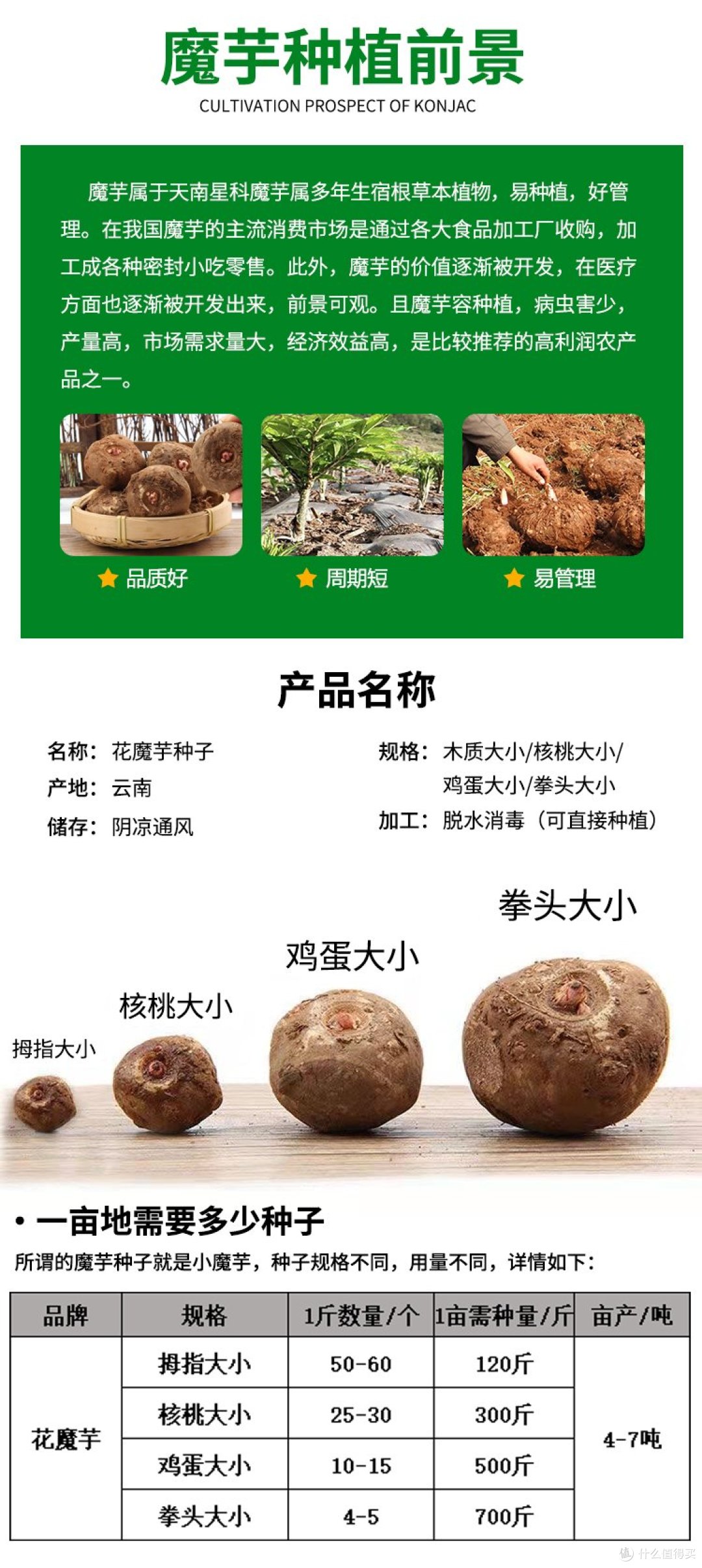 高端零食人设崩塌:良品铺子关店430家,消费者不买单了?