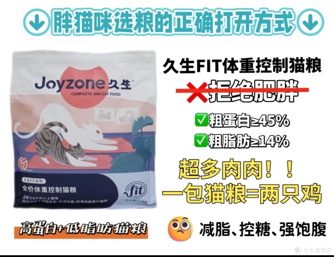 56天肥胖毛孩子的减重实录,TA们是怎样悄悄变健康的?