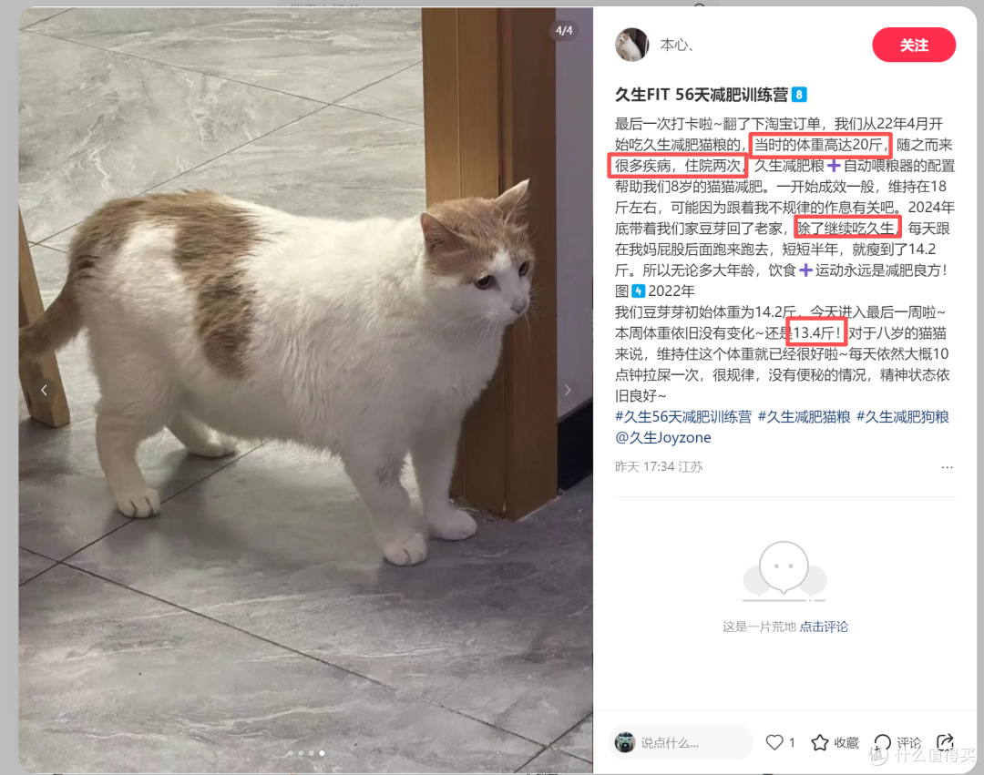 56天肥胖毛孩子的减重实录,TA们是怎样悄悄变健康的?