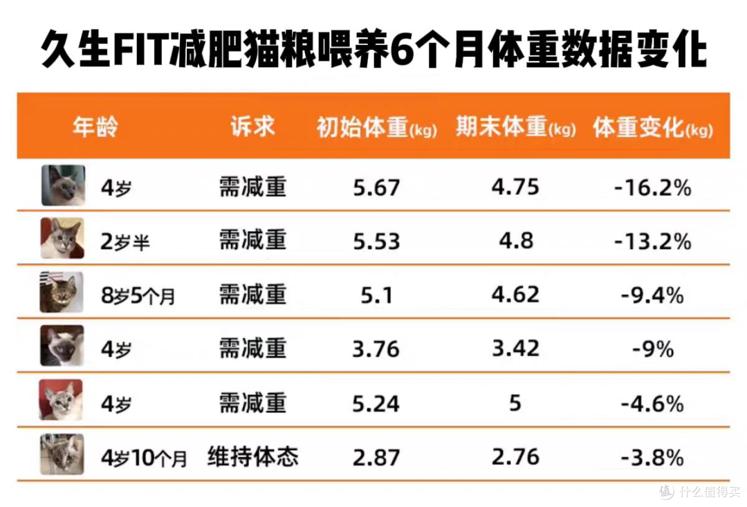 56天肥胖毛孩子的减重实录,TA们是怎样悄悄变健康的?