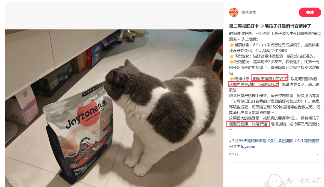 56天肥胖毛孩子的减重实录,TA们是怎样悄悄变健康的?