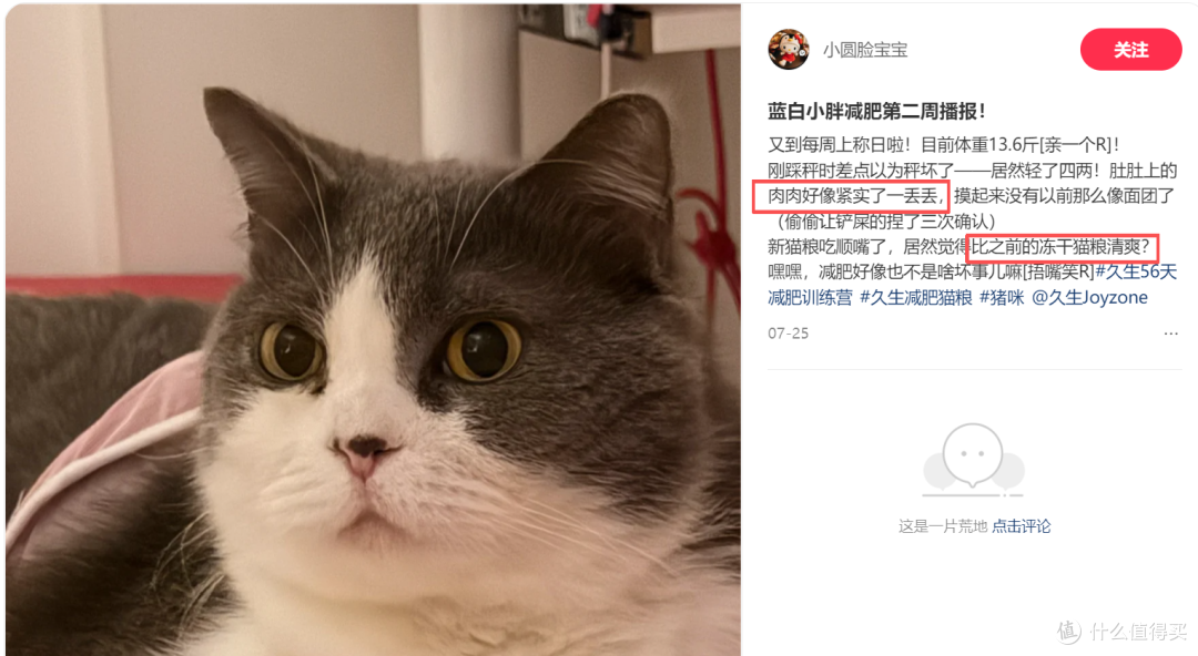 56天肥胖毛孩子的减重实录,TA们是怎样悄悄变健康的?