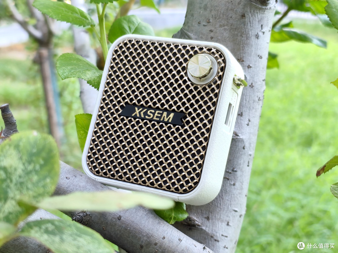 百元价位的最强小蜜蜂!西圣Bee重塑扩音标准,教师导游必备神器