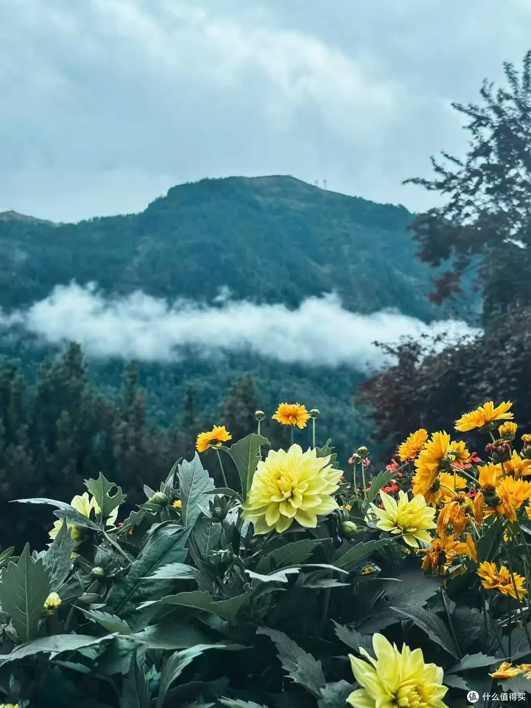 拱门很简易补给不豪华,UTMB何以如此吸引世界各地越野跑者参与?