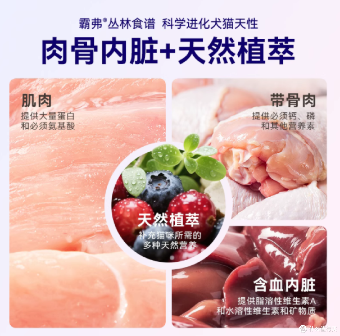 幼猫成长必备!麦富迪 barf 霸弗天然幼猫粮测评🐱