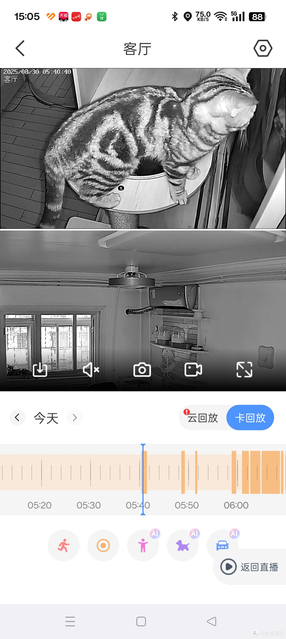 夜间监控