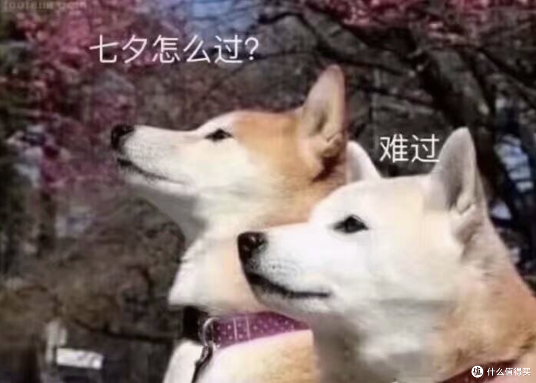 追求舒适感的"懒系成年人"的节假日正确打开方式是什么？