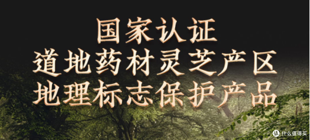 全国正宗破壁灵芝孢子粉品牌年度高分排前十汇总,第一名满意度高