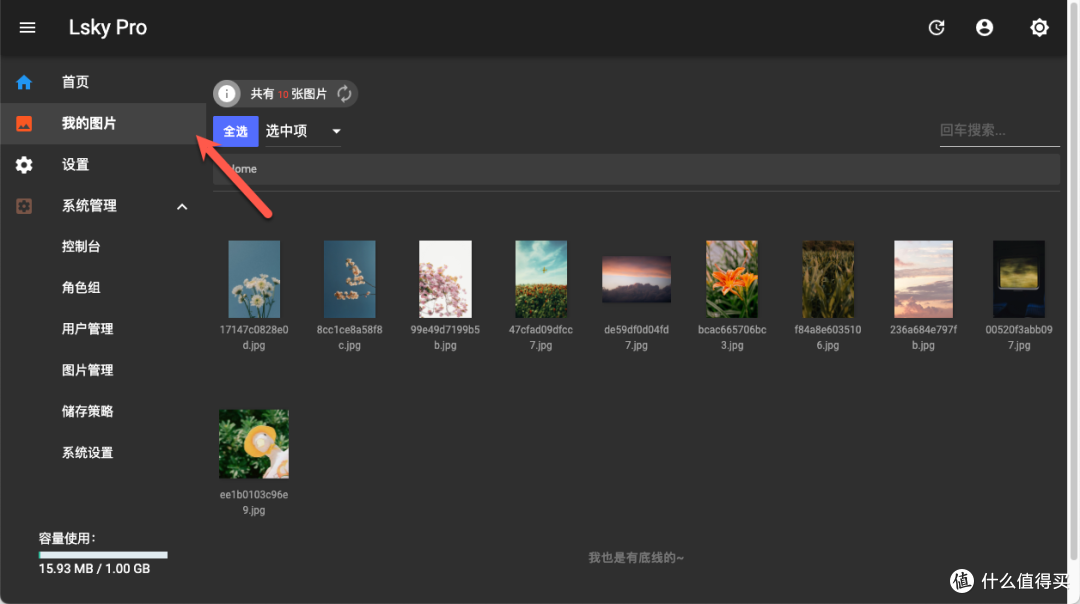 在 NAS 上玩转图床:LskyPro 部署指南,从安装到实用功能介绍