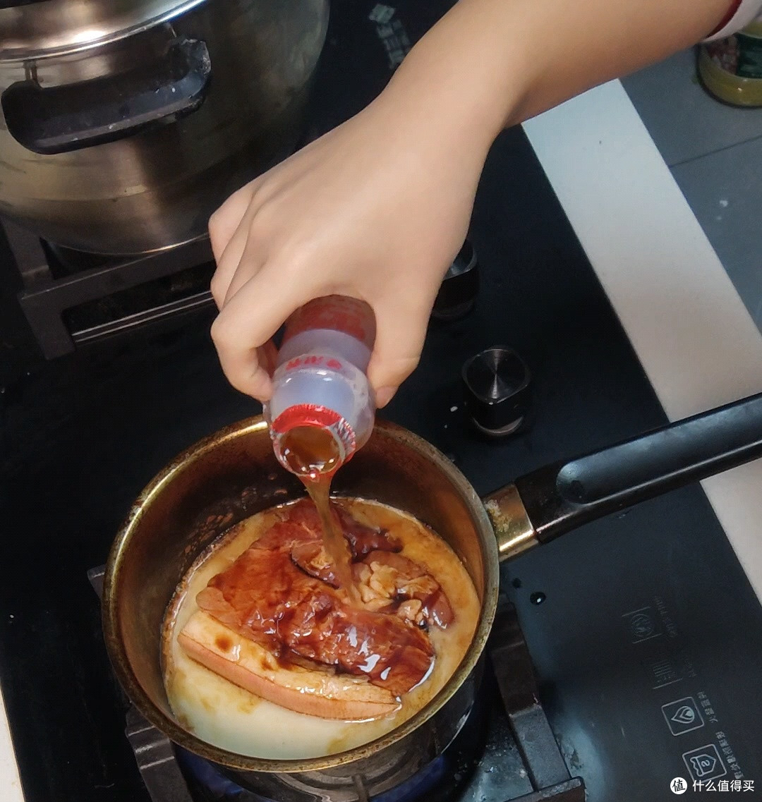 邪修美食:异界烹饪指南之养乐多叉烧