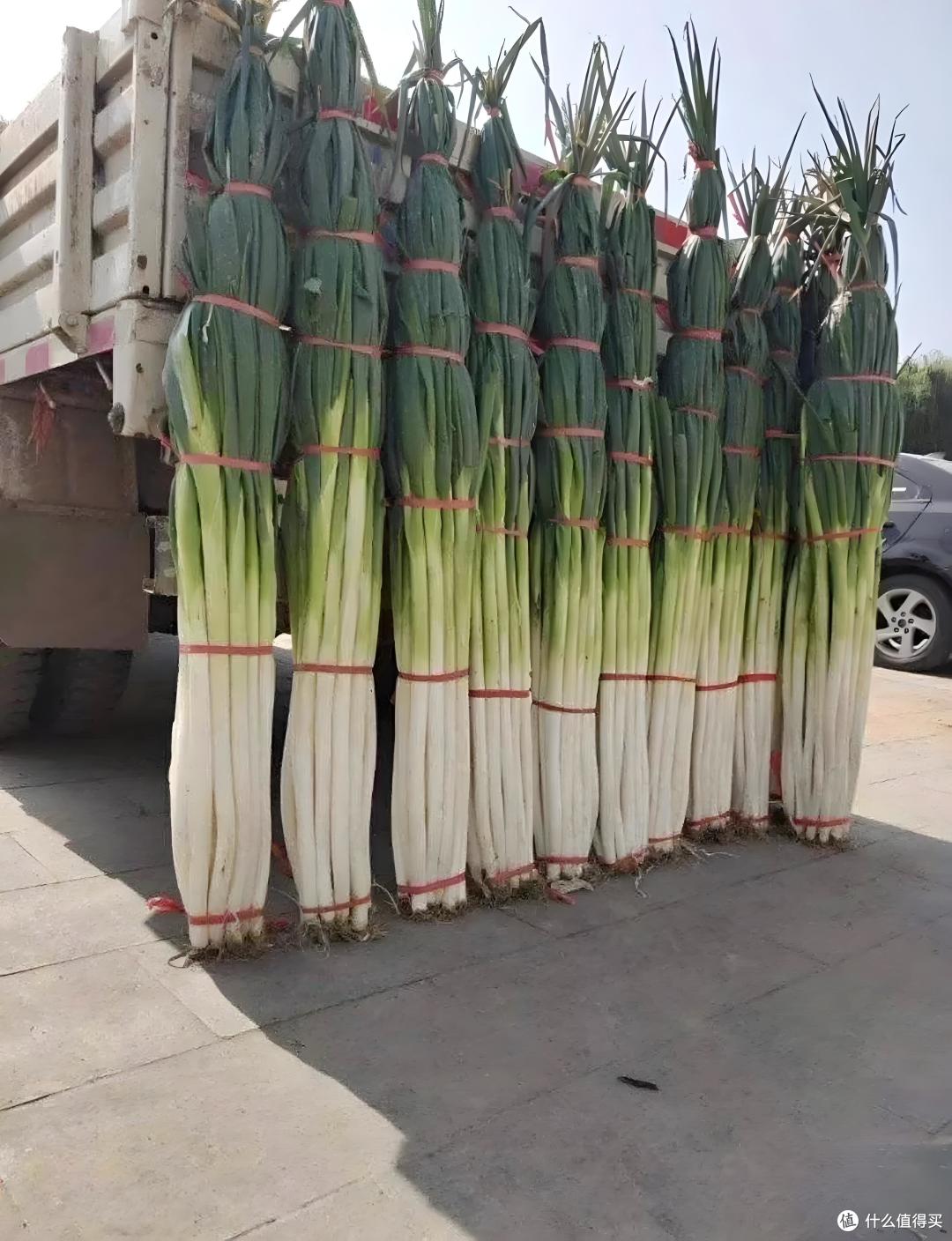 盘点山东6种“特别大”的食物，大到不服不行，外地很难看得到