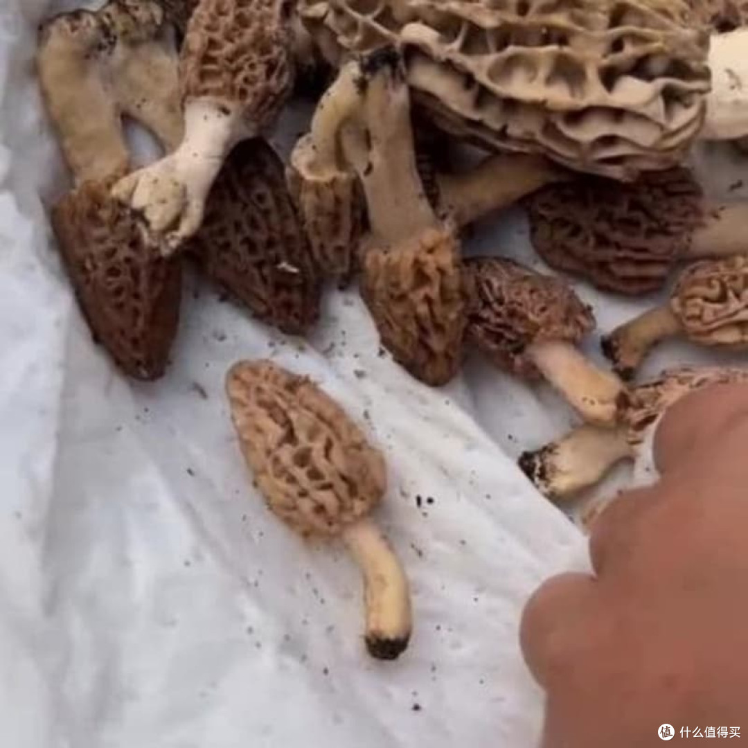 给喜欢尝鲜的人送什么特色礼品​​？