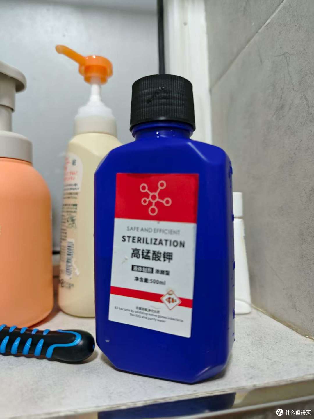 学会制作生态乌龟缸,打造会呼吸的家庭微景观