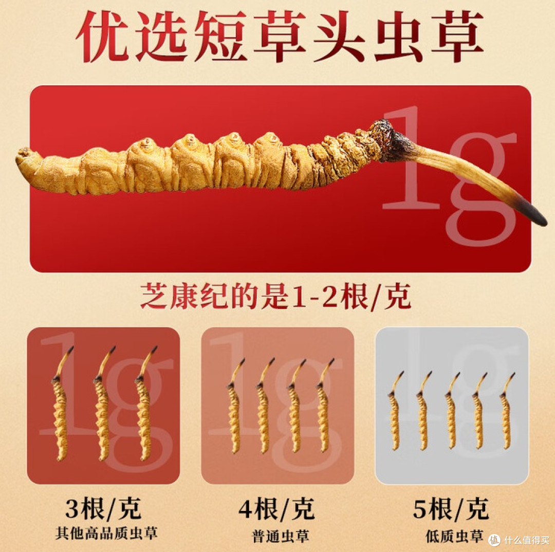 2025年什么牌子的冬虫夏草好?高性价比8大品牌盘点,真心力荐