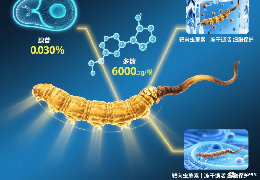 2025年什么牌子的冬虫夏草好?高性价比8大品牌盘点,真心力荐