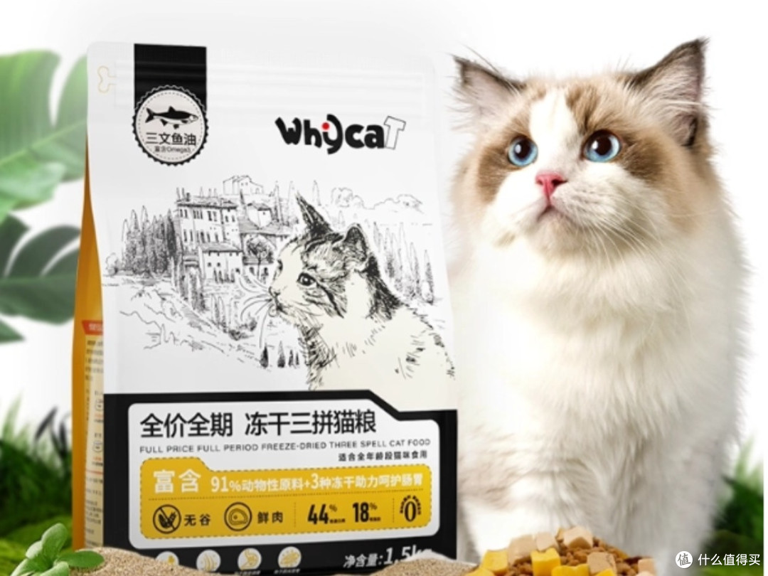 两个月小猫要吃多少猫粮?国产猫粮2025排行榜值得看