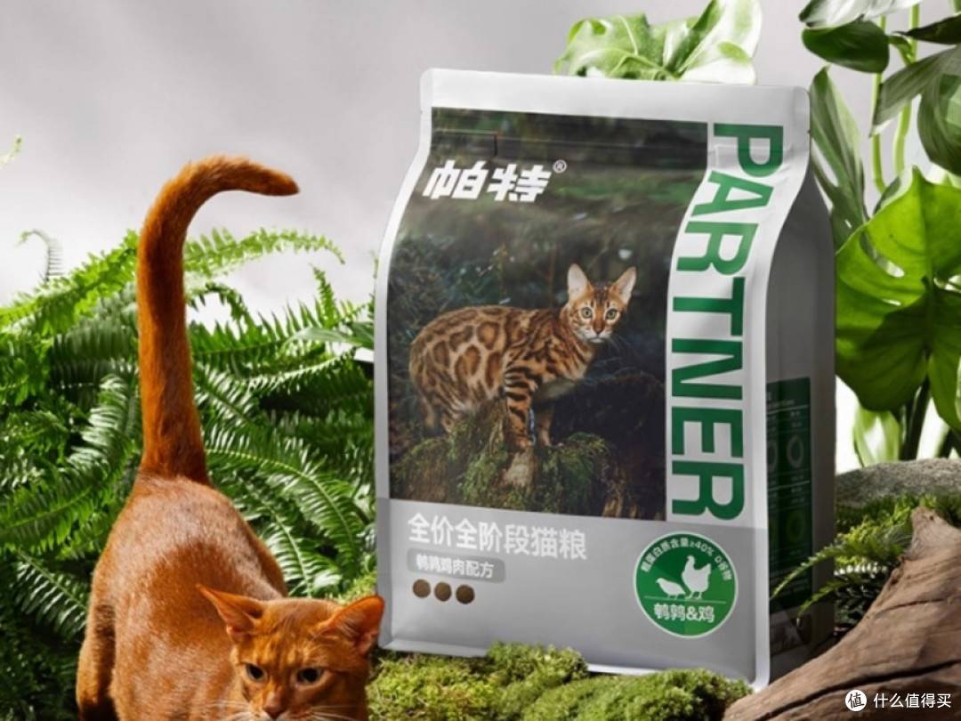 幼猫到底能不能吃成猫粮?2025猫粮排行榜Top10揭晓答案