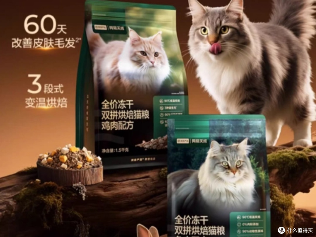 幼猫到底能不能吃成猫粮?2025猫粮排行榜Top10揭晓答案