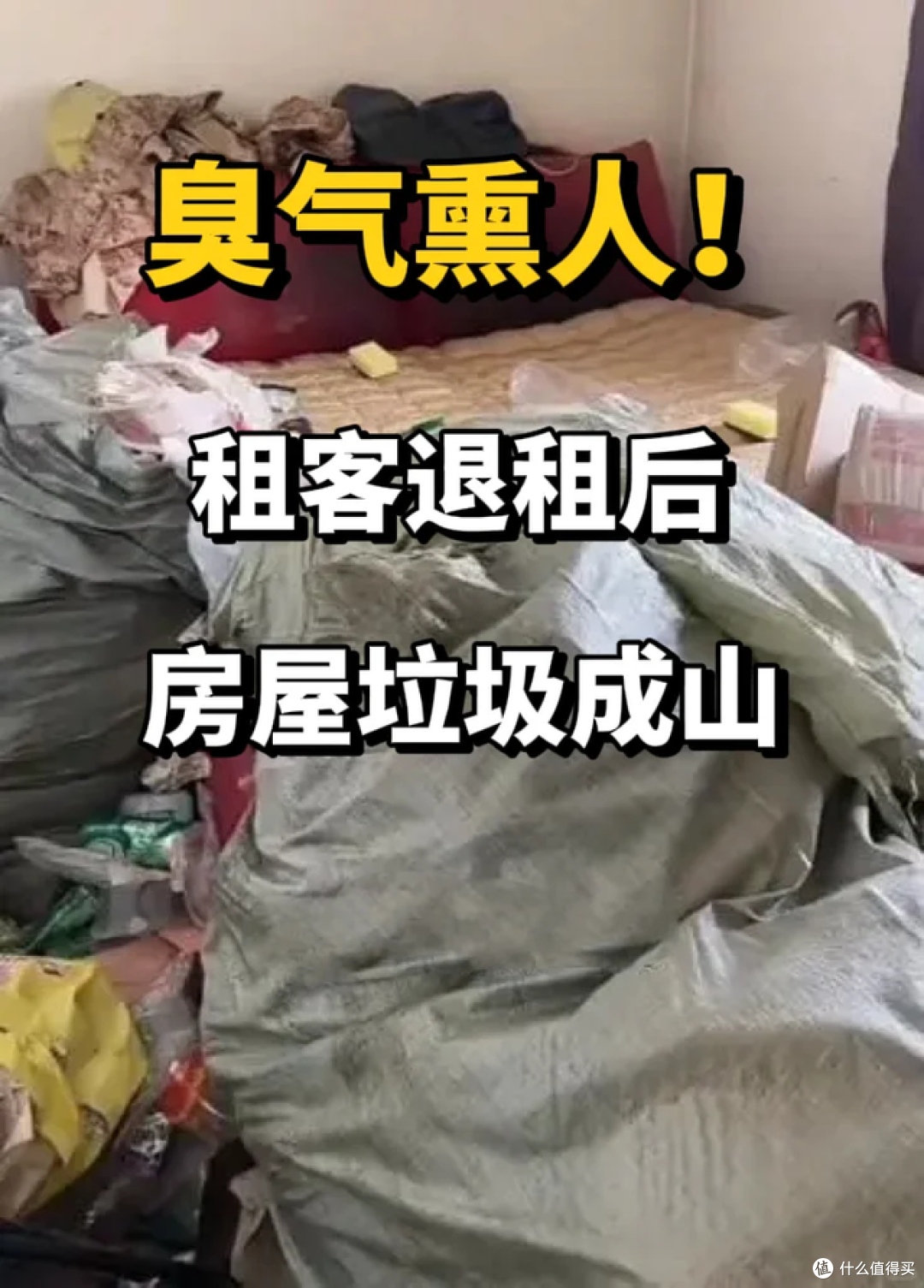 为什么房子宁可空着房子,也不出租?听了解释,才知道有多现实!