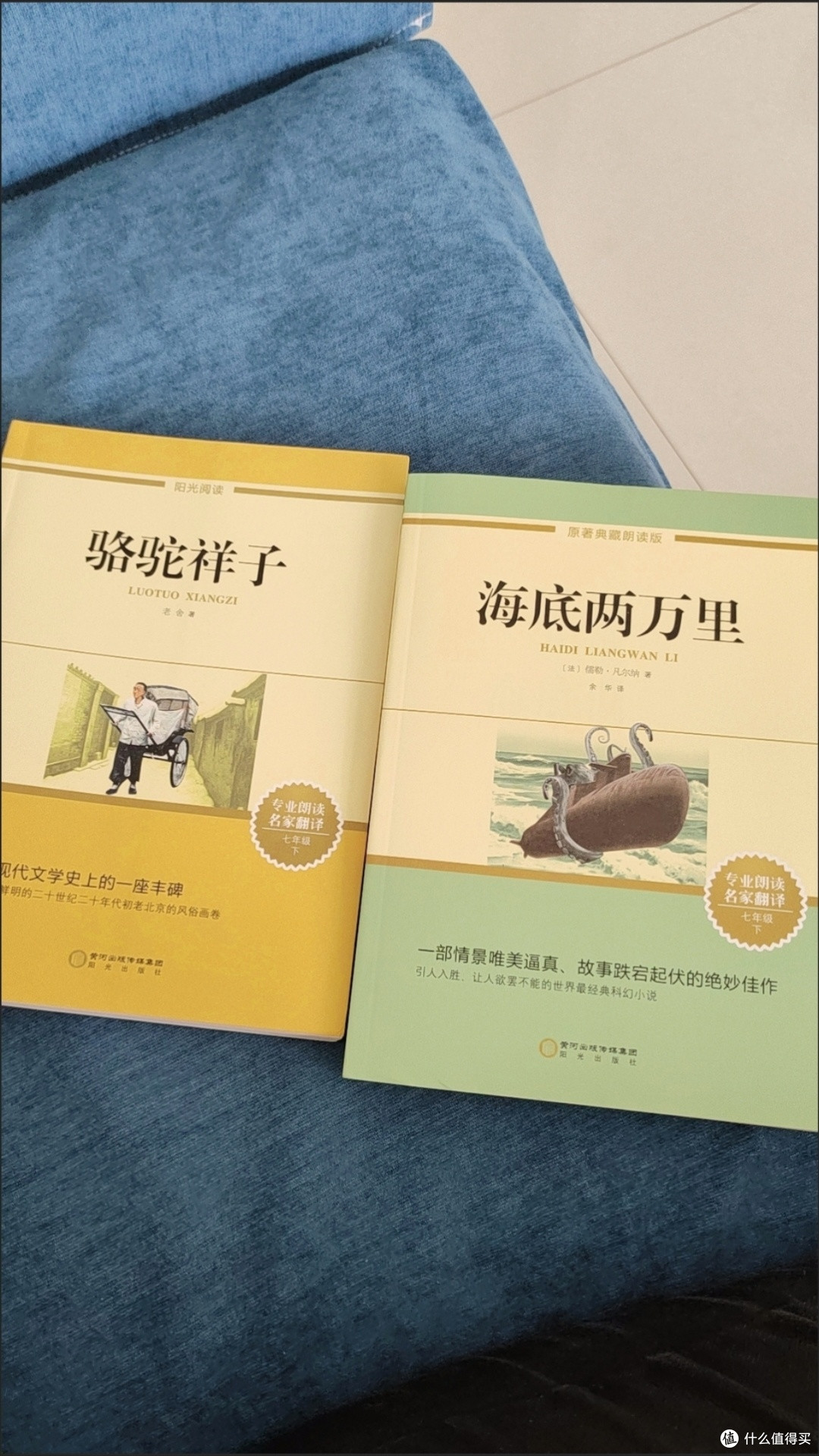 《朝花夕拾》:在旧时光里寻真味