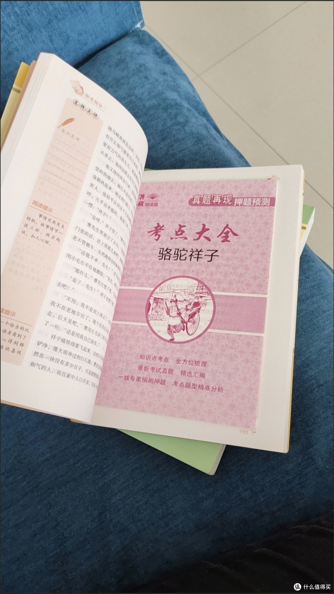 《朝花夕拾》:在旧时光里寻真味