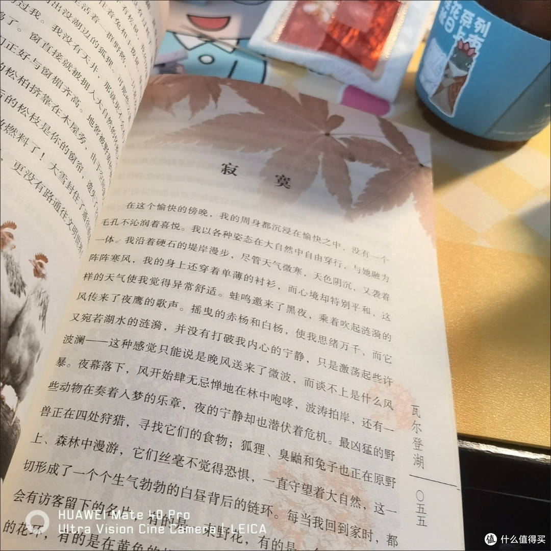 《瓦尔登湖》:寻回心灵的澄澈之境