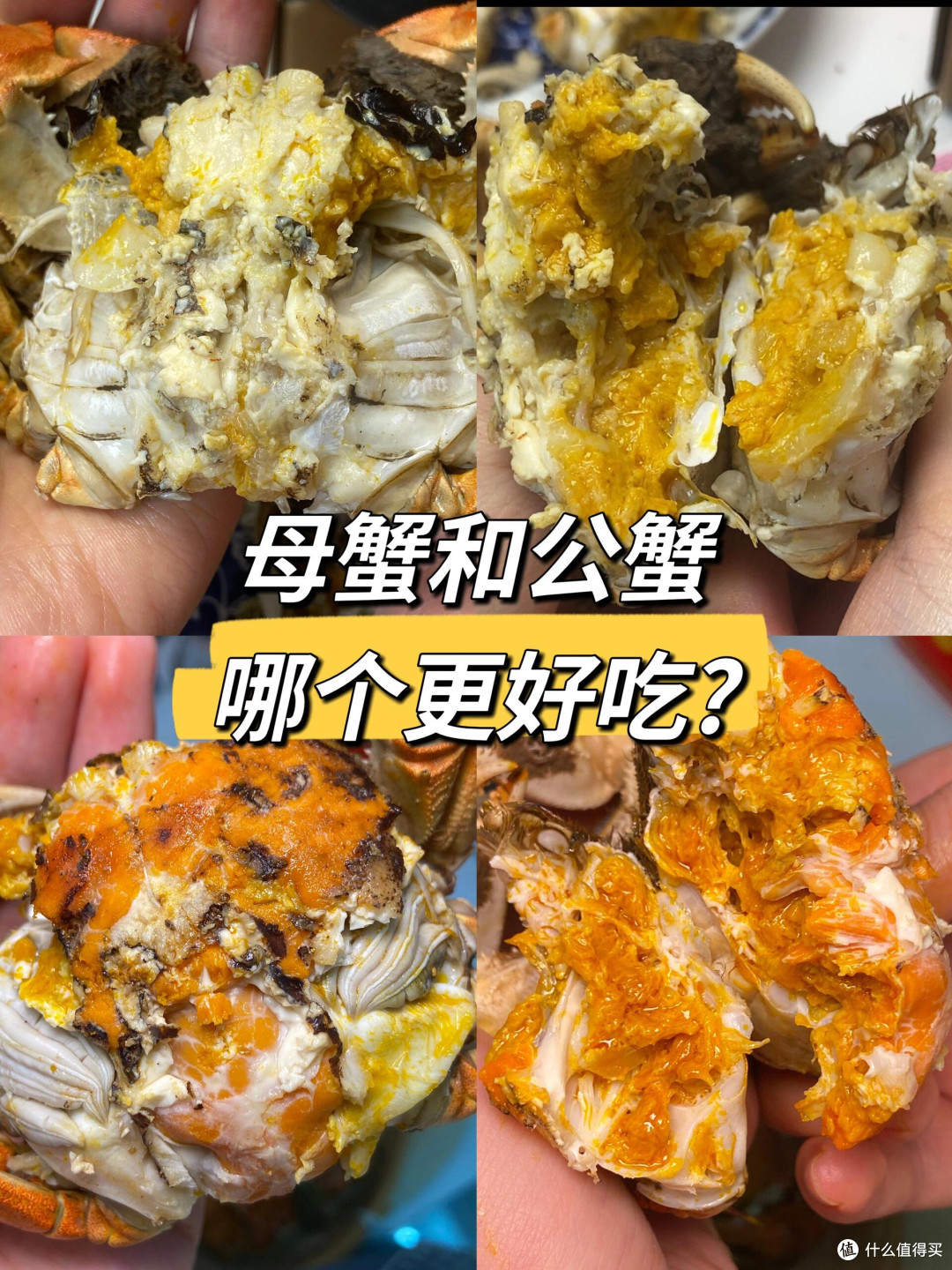 11月中下旬公蟹母蟹怎么选_海鲜水产_什么值得买