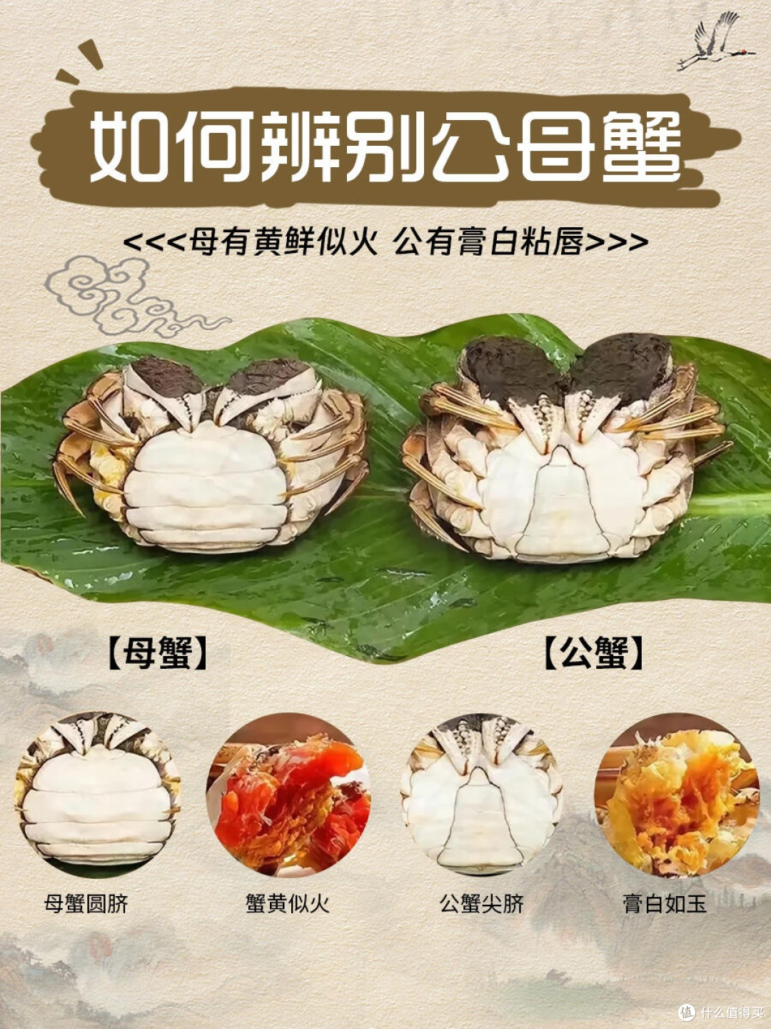 公蟹膏与母蟹黄的区别