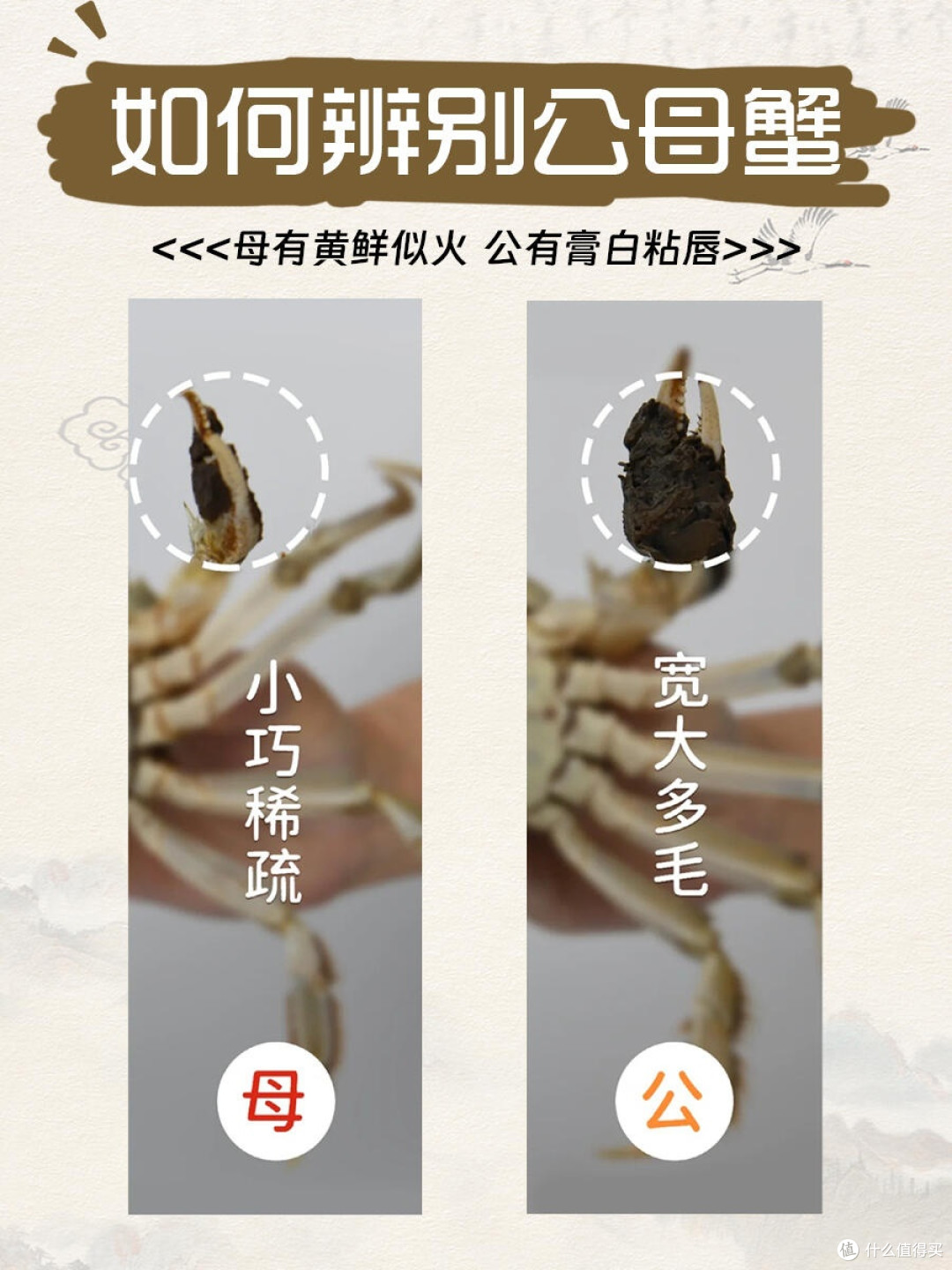 公蟹膏与母蟹黄的区别