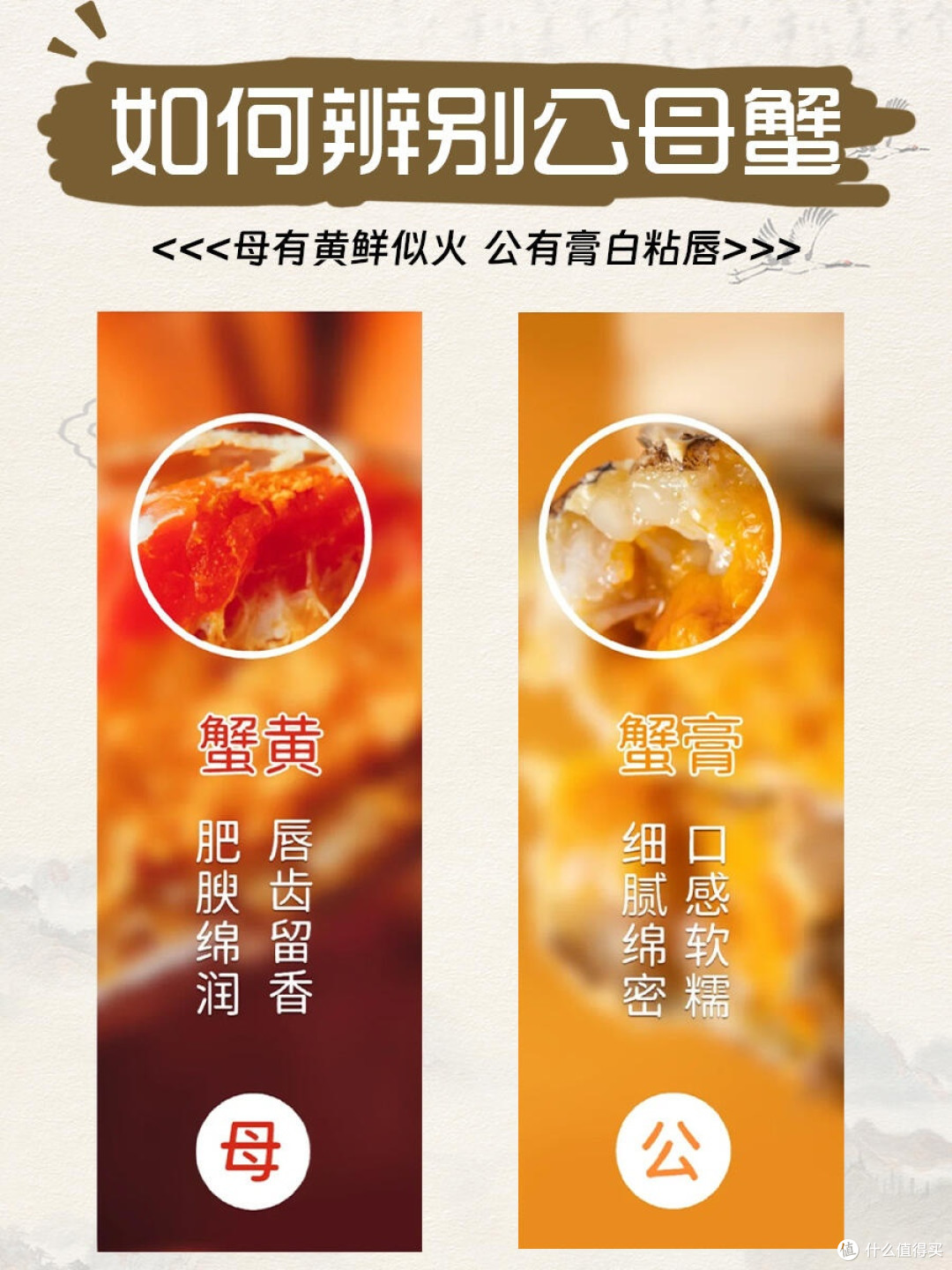 公蟹膏与母蟹黄的区别