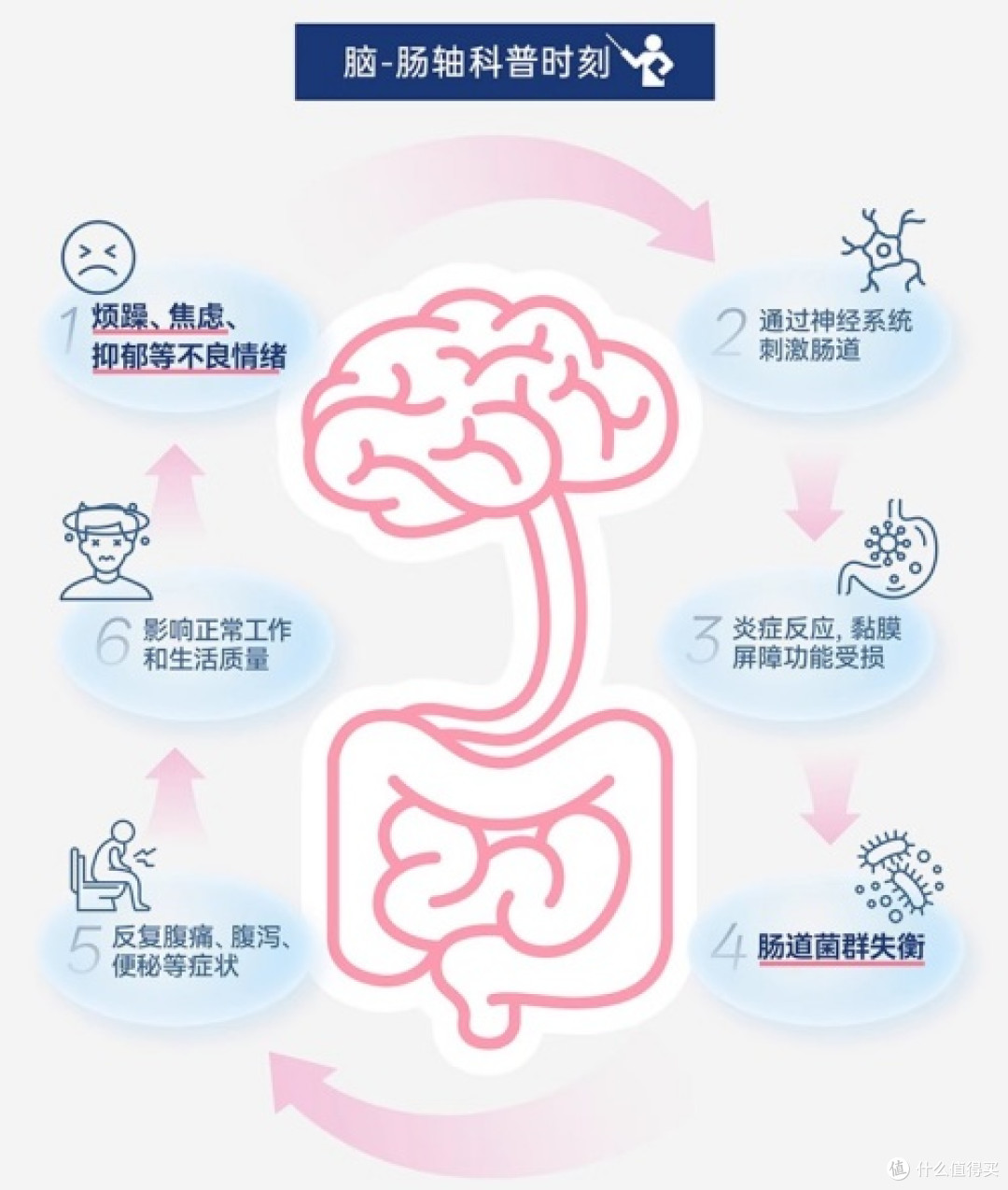 拉肚子会让“脑袋卡壳”cns舒畅益生菌通过脑肠轴来助力肠脑健康