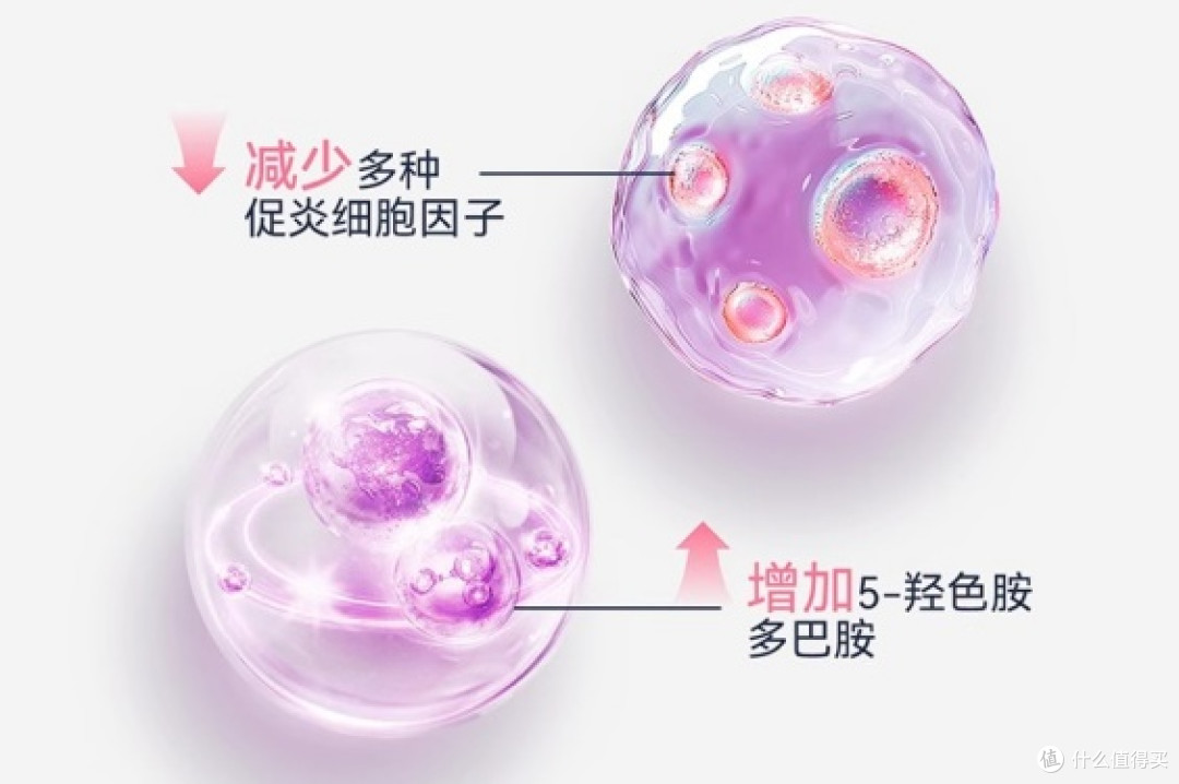 拉肚子会让“脑袋卡壳”cns舒畅益生菌通过脑肠轴来助力肠脑健康