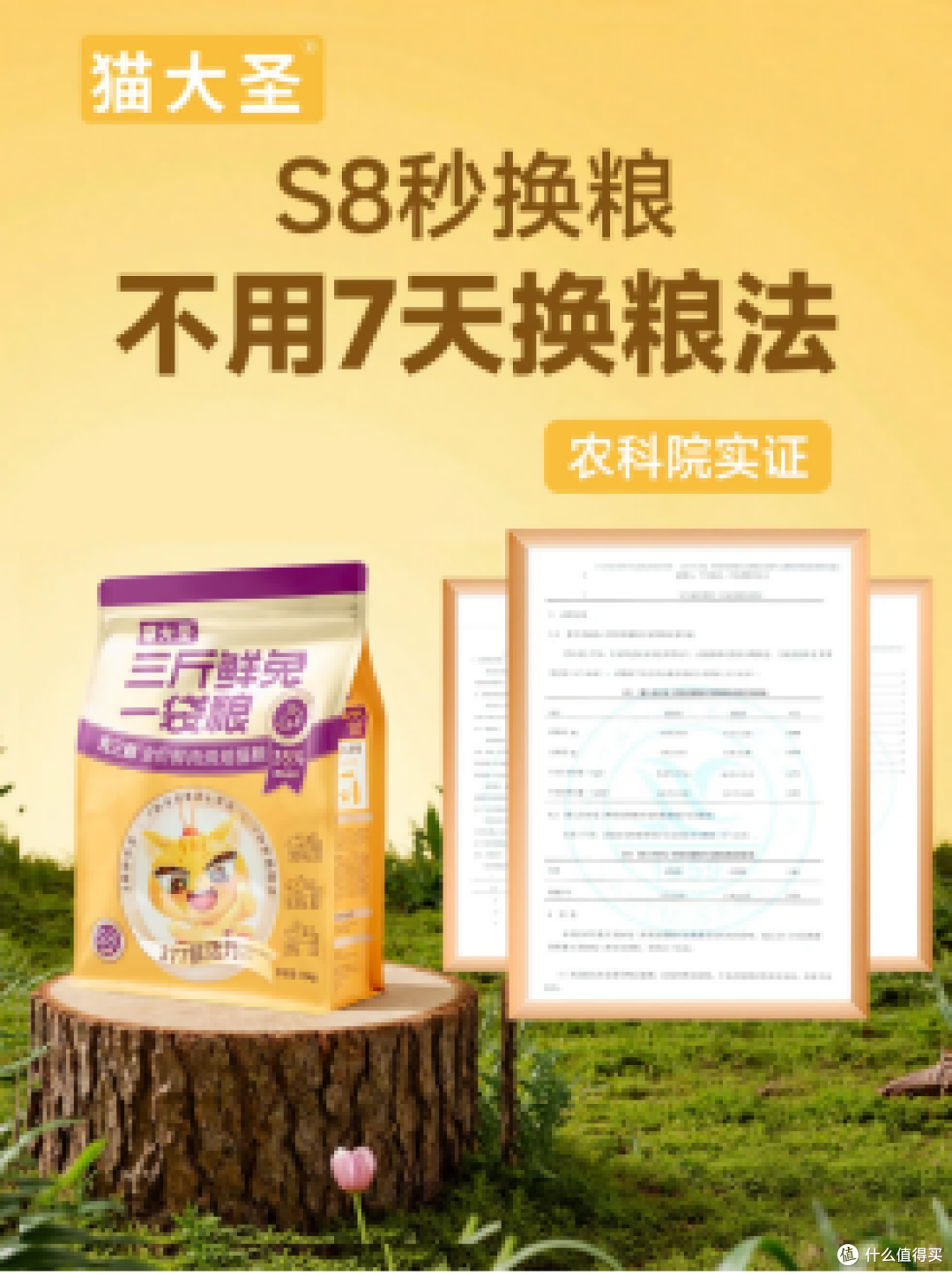 新手养猫须知的猫粮界的“十加选手”!安全健康两不误