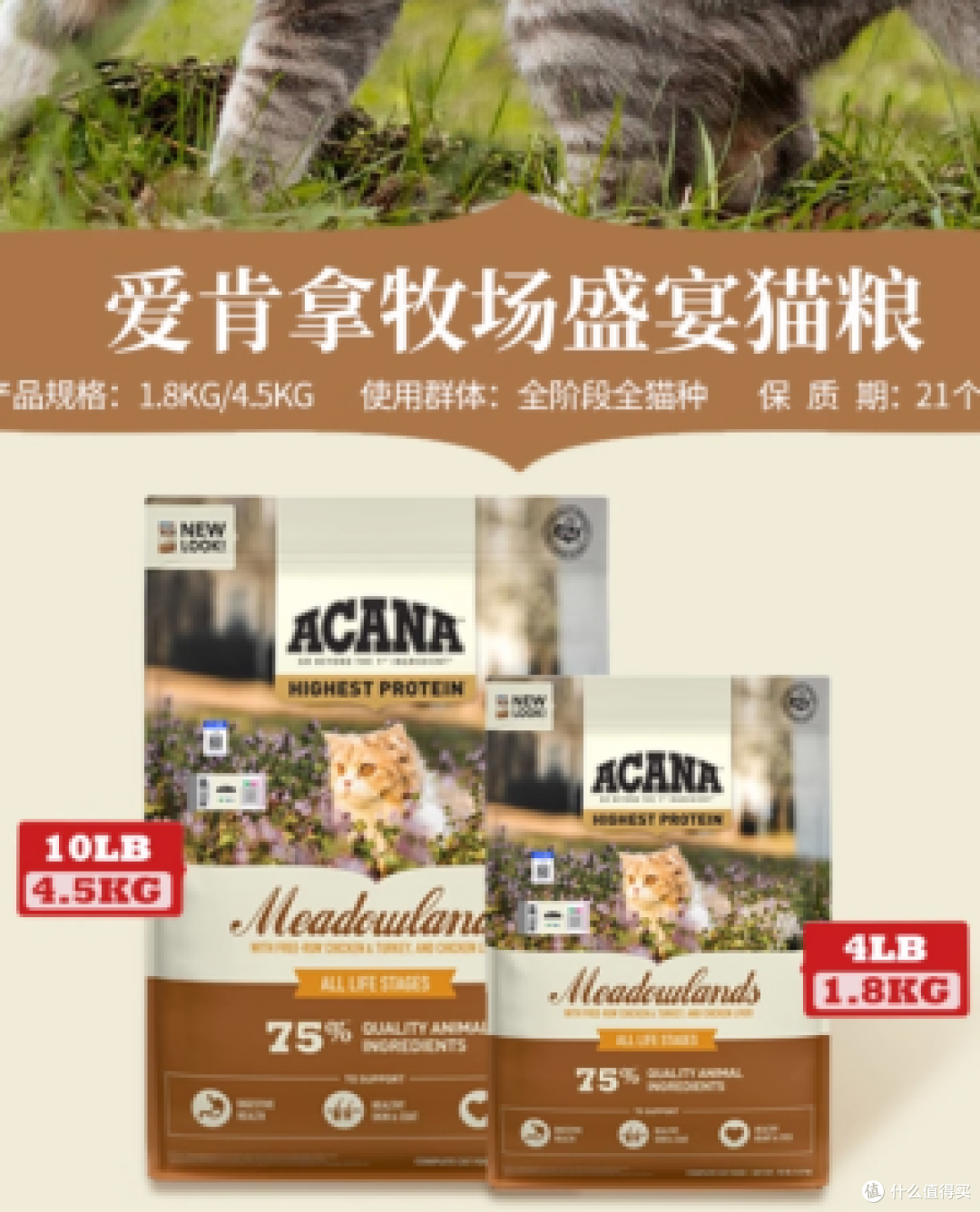 新手养猫须知的猫粮界的“十加选手”!安全健康两不误