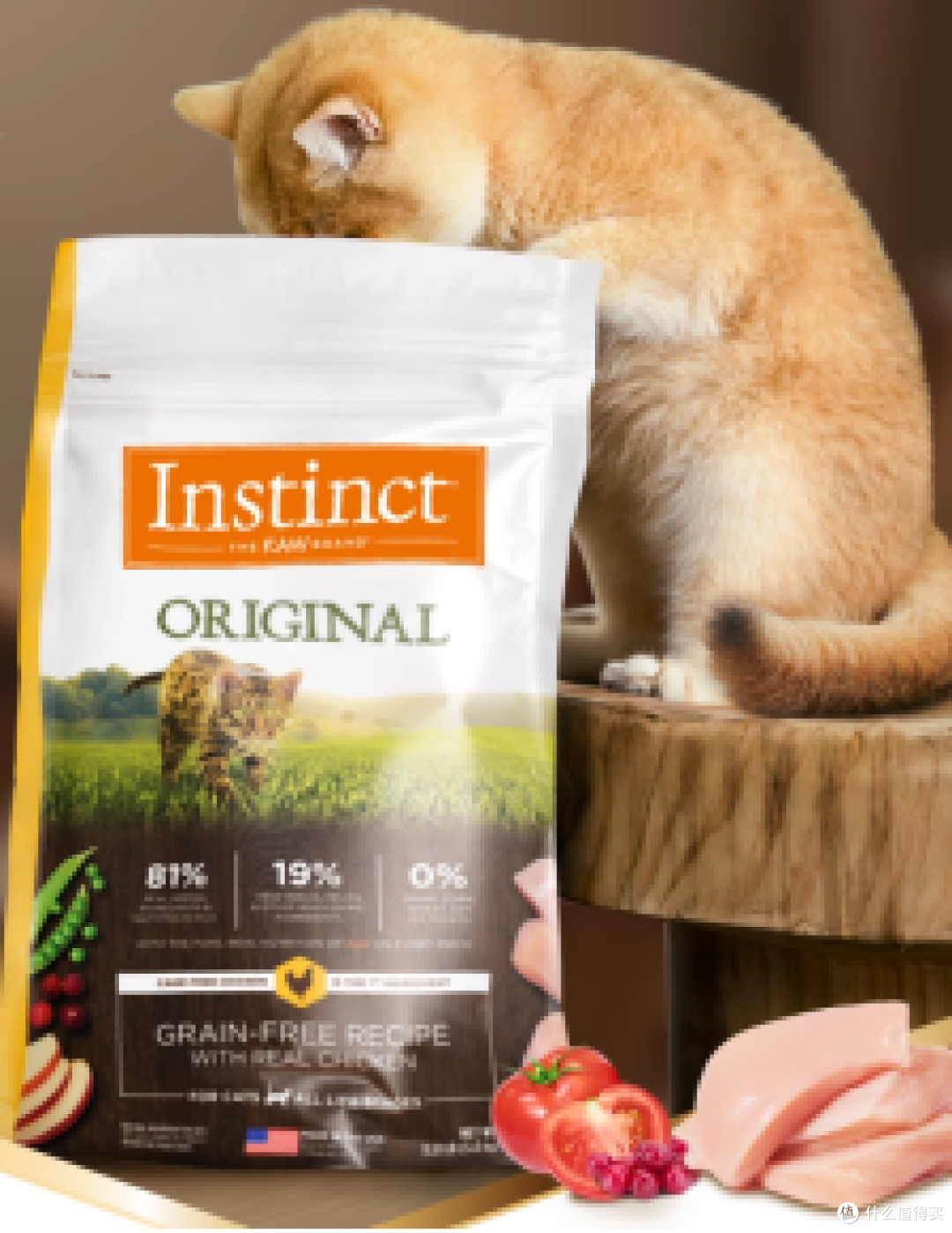 新手养猫须知的猫粮界的“十加选手”!安全健康两不误