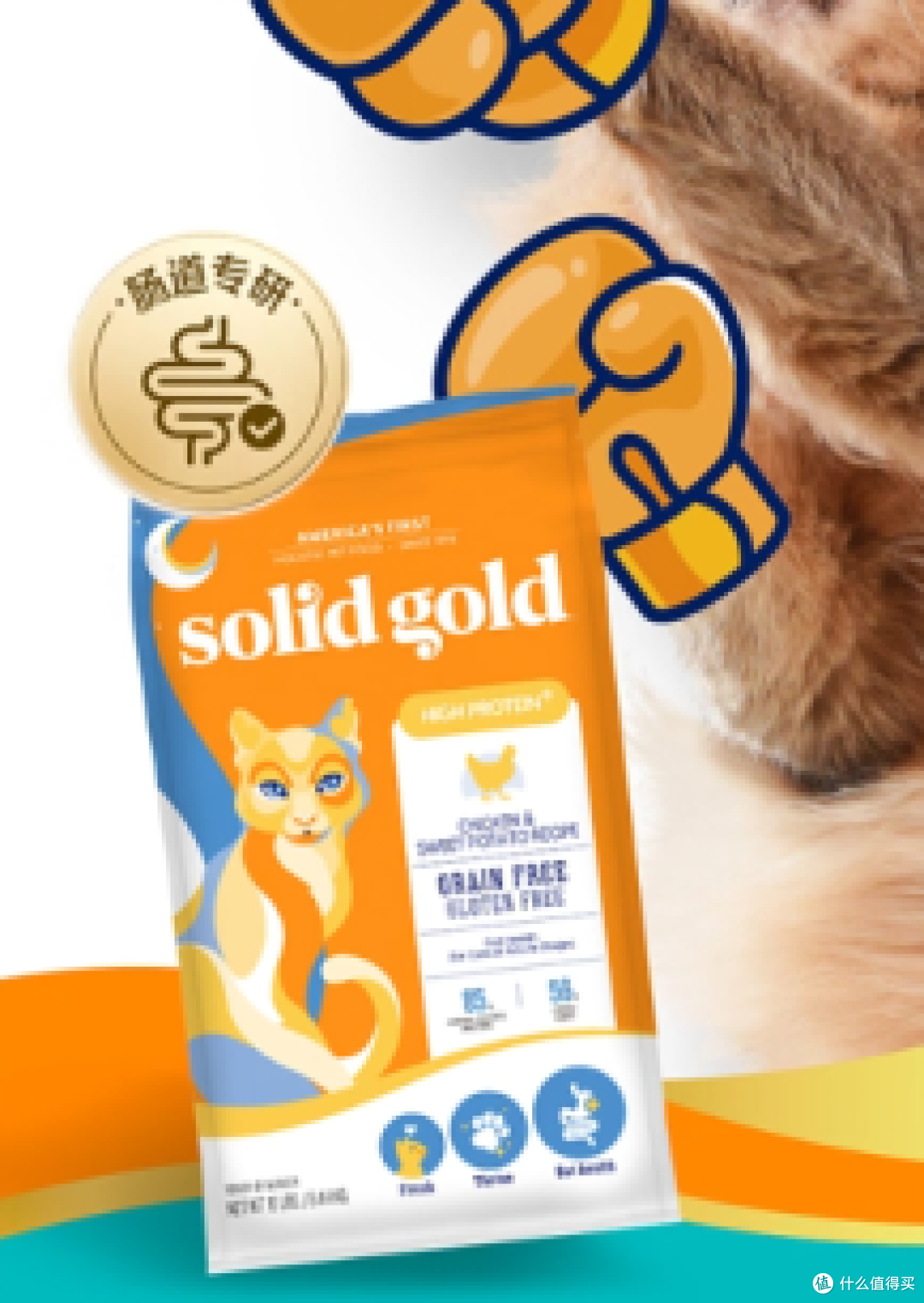 新手养猫须知的猫粮界的“十加选手”!安全健康两不误