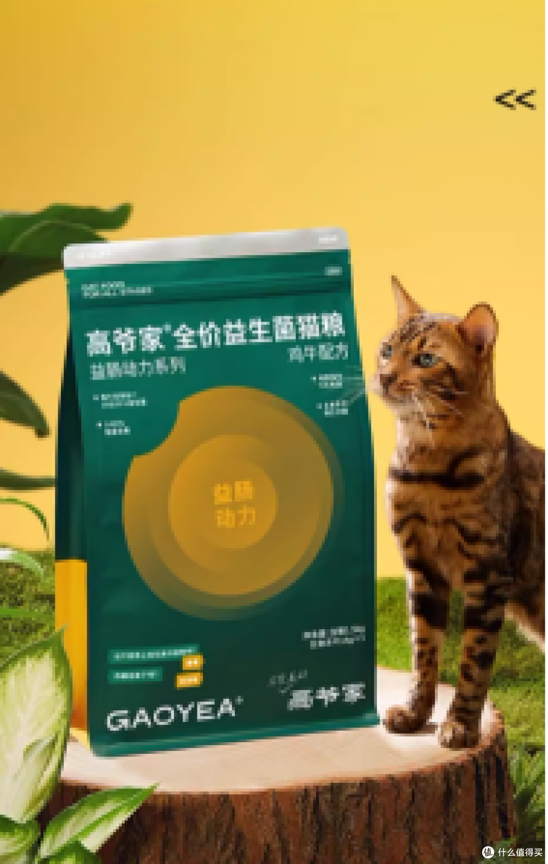新手养猫须知的猫粮界的“十加选手”!安全健康两不误