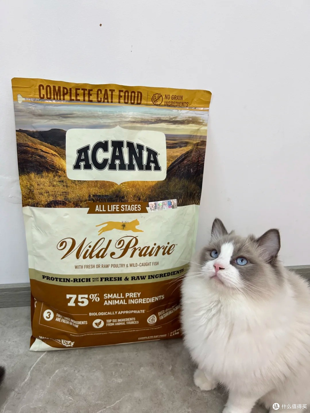 优质猫粮排行榜前十名!哪种猫粮好?