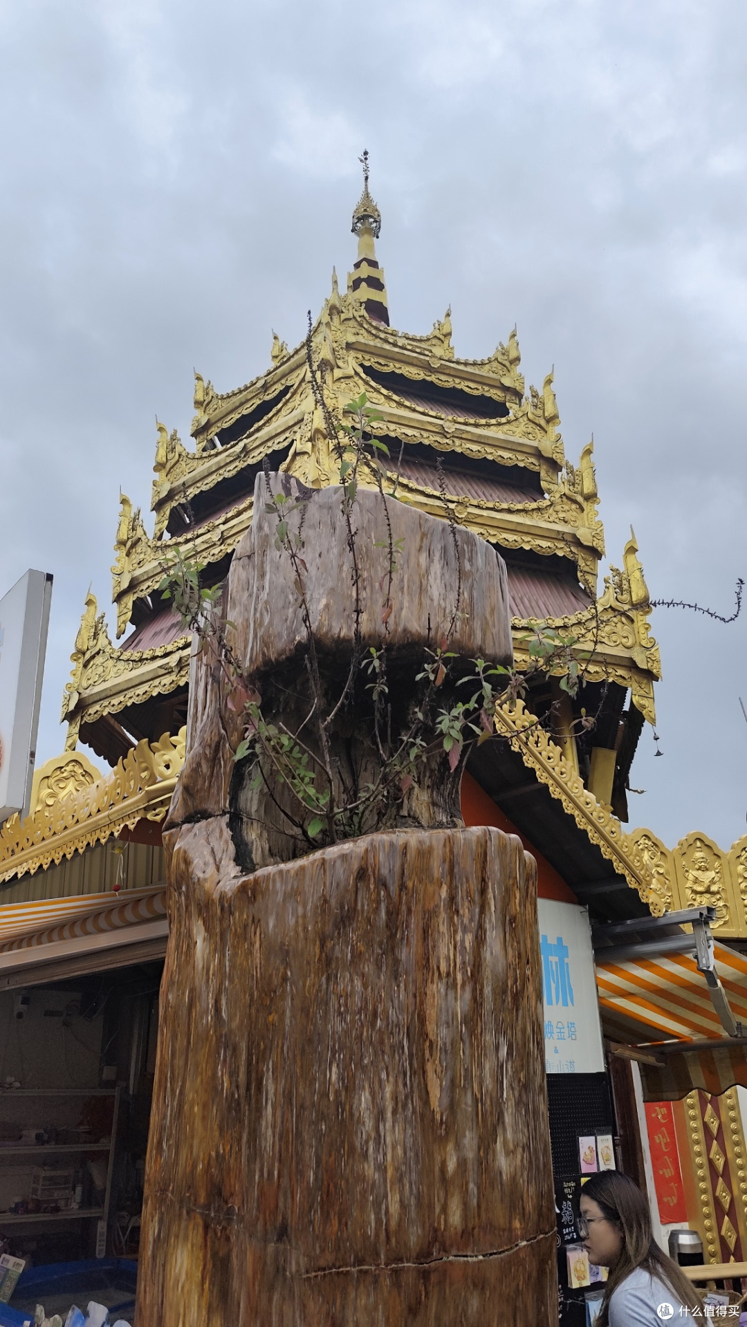 芒市概况:地理与民族特色