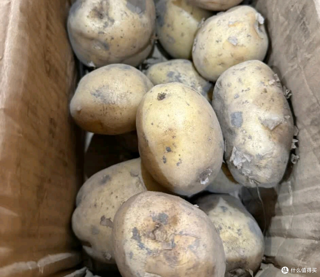 牛爱鲜黄心土豆，
