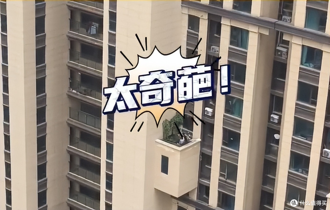 女子在“高楼避难层上种菜”,惊呆众人,网友:这菜是非种不可?
