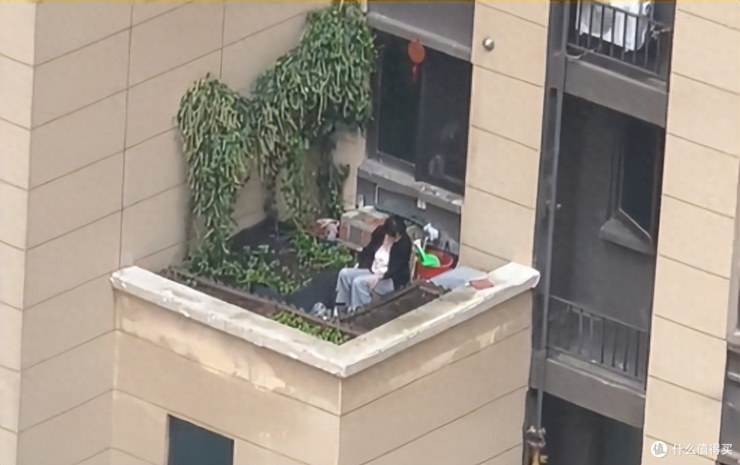 女子在“高楼避难层上种菜”,惊呆众人,网友:这菜是非种不可?