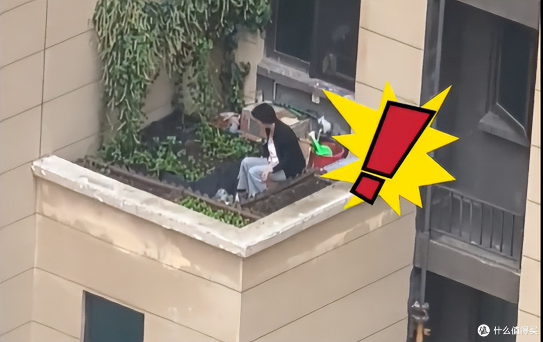 女子在“高楼避难层上种菜”,惊呆众人,网友:这菜是非种不可?
